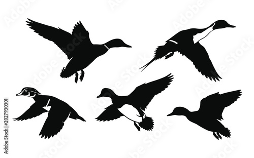 Flying Duck Silhouette Collection, Waterfowl Vector Graphics for Waterfowl Hunting Brands