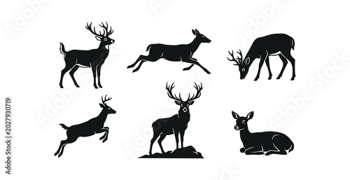 Deer Silhouettes Set – Standing, Running, Grazing, Resting, Stag & Buck with Antlers Poses Vector