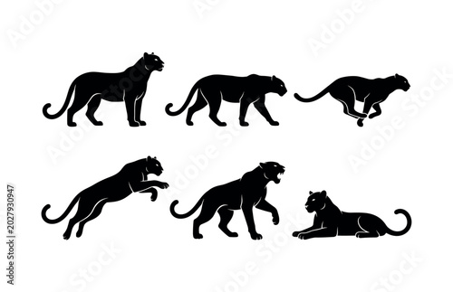 Panther and Cheetah Silhouettes Set – Standing, Walking, Running, Pouncing, Roaring & Resting Poses Vector