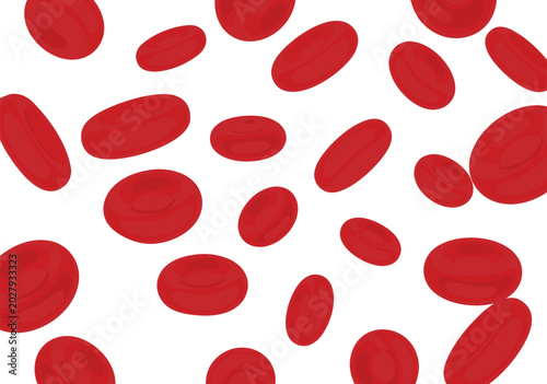 Tableau sur toile Scientific Vector Illustration of Red Blood Cells Flowing, a Microscopic View of