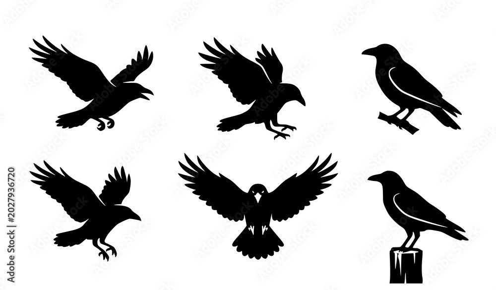 Obraz premium Minimal crow silhouette vector pack showing perched, soaring and dynamic motion poses on isolated white background