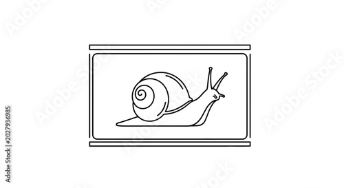 Minimalist Line Art Snail in a Frame, Simple and Elegant Insect Illustration