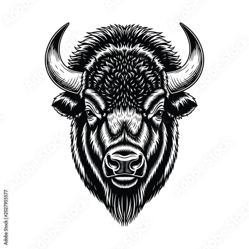 Vintage bison head vector illustration, majestic buffalo mascot emblem, black and white american bison woodcut art