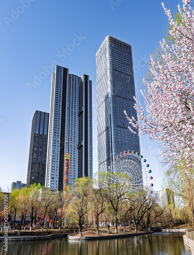 Changchun, China: Apricot Blossoms Amidst Skyscrapers and Amusement Park Scenery