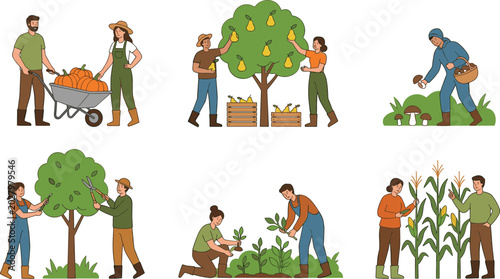 Fotografía Farmers harvesting agricultural crops vector illustration set picking pears trim