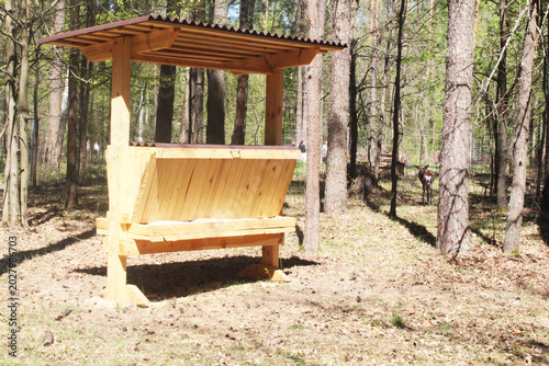 Photography Nursery for feeding wild animals in the forest