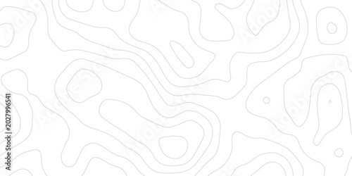 Canvastavla Abstract Landform Elevation Background with Detailed Topographic Curves and Organic Surface Waves