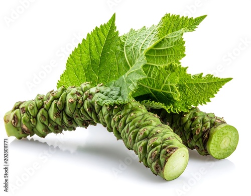 Fresh Green Wasabi Rhizomes with Leaves Arranged on White Background