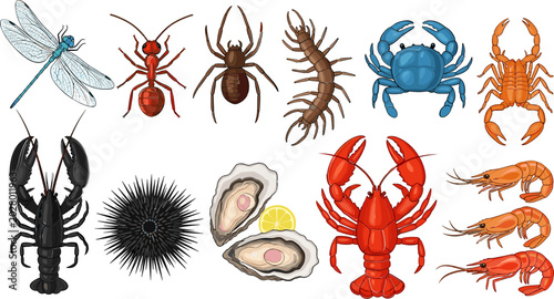 Fotografie Marine Life and Insect Species Set Featuring Lobster, Crab, Shrimp, Oysters, Dra