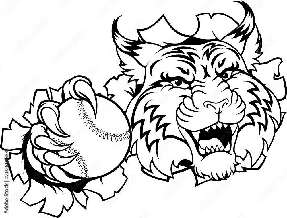 Obraz premium A wildcat or bobcat animal baseball or softball sports team cartoon mascot