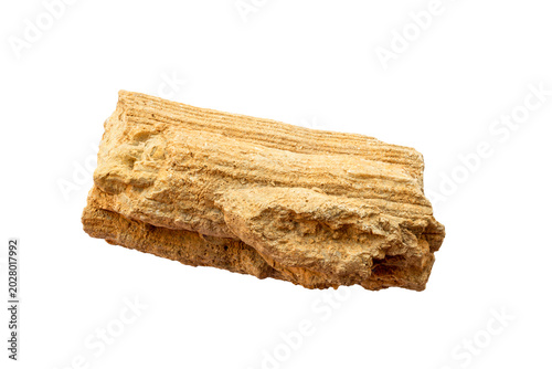 Obraz na plátně Petrified wood fossil, isolated on white background, with layered texture and na
