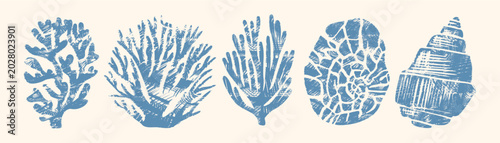 Foto Coral and seashell vector set — five rustic woodcut silhouettes of coral, ammoni