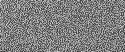 Schilderij op canvas Turing reaction diffusion monochrome seamless pattern with chaotic motion