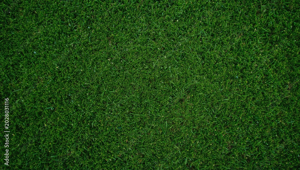 Obraz premium Vibrant green artificial grass texture with a lush and dense appearance, perfect for landscaping and sports surfaces