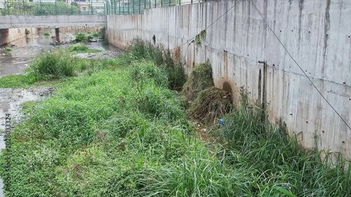 Wide view of a drainage canal filled with overgrown wild plants and dirty water