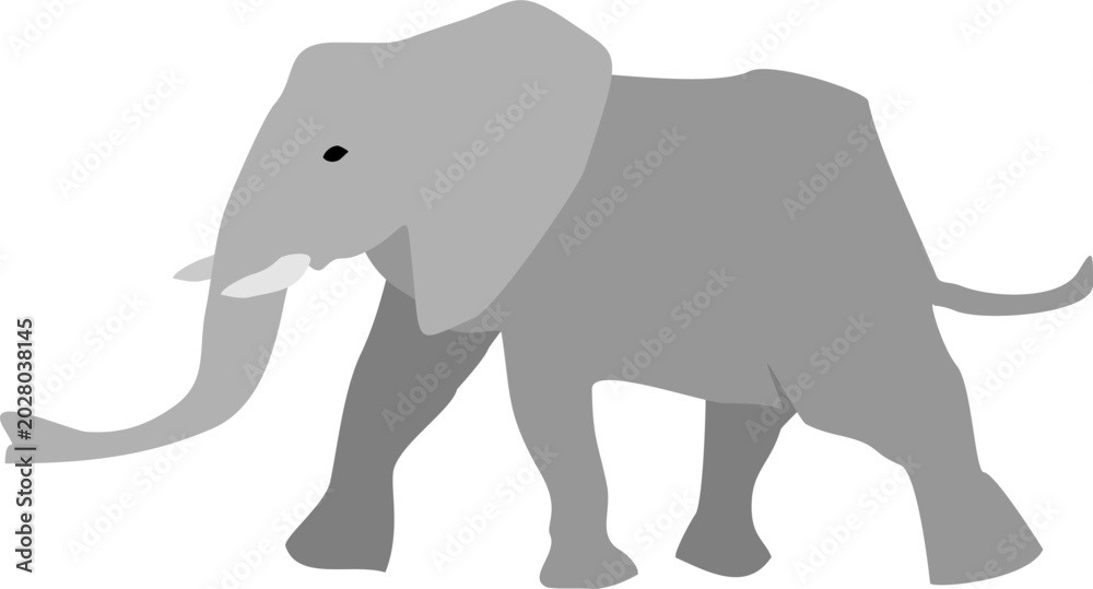 Fototapeta premium Walking Elephant Vector Illustration Side View Isolated on White Background