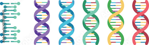 Fotografie Educational chart of DNA structure and helix stages