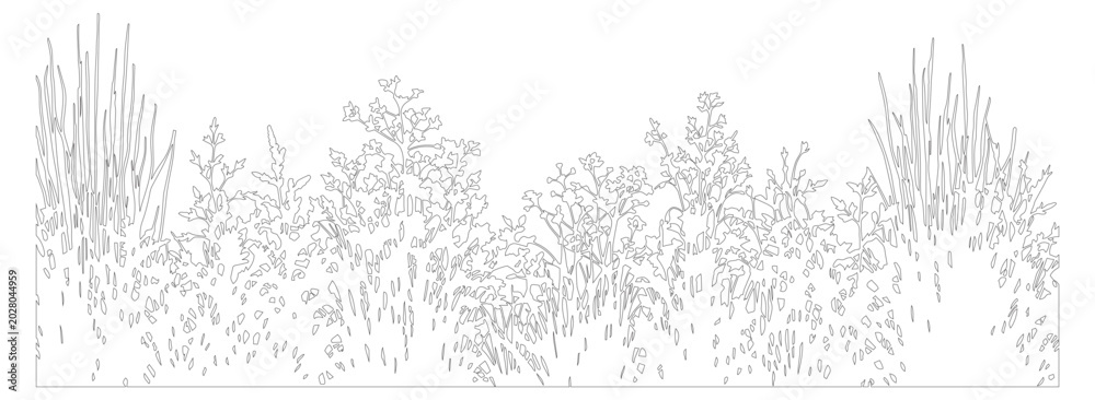 Obraz premium Minimalist line art wild grass and meadow flowers, botanical garden border vector, hand drawn floral field landscape for wedding invitations