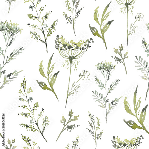 Botanical plants, grass, eco, watercolor illustration