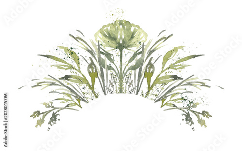 Botanical plants, grass, eco, watercolor illustration