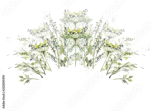 Botanical plants, grass, eco, watercolor illustration