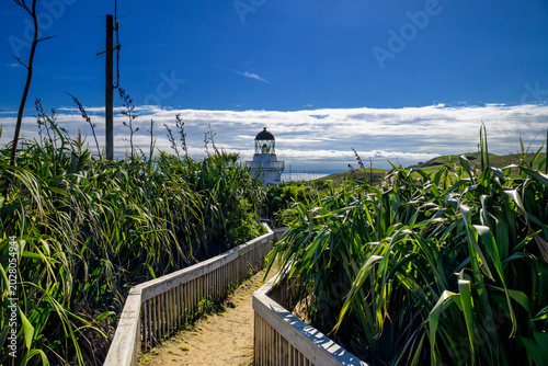 Manukau Heads Lighthouse path with flax plants