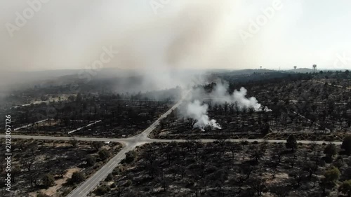 Aerial view of a wildfire scene with smoke and burnt trees across a rural landscape.