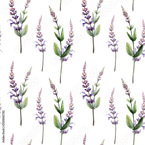 фотографія Sage seamless pattern watercolor illustration