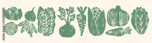 Green rustic vegetable bundle with organic vegetable icons like carrot, corn and lettuce in a hand-drawn linocut style, perfect for a fresh healthy food menu or farm market banner