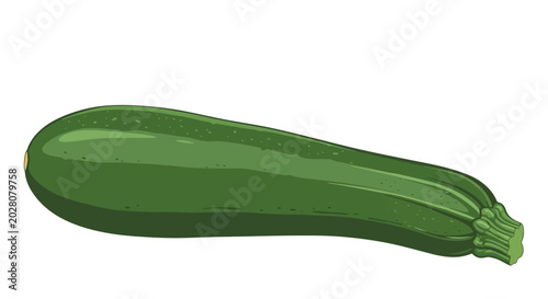 Green Zucchini Vegetable Fresh Produce.