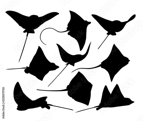 Set of silhouettes of sea rays.