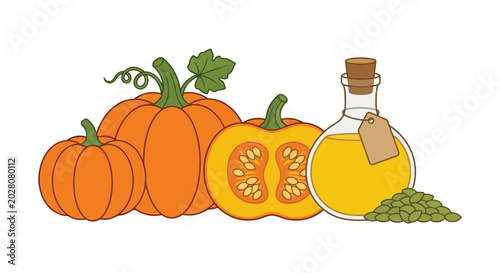 Schilderij op canvas pumpkins pumpkin seed oil and seeds illustration on white background