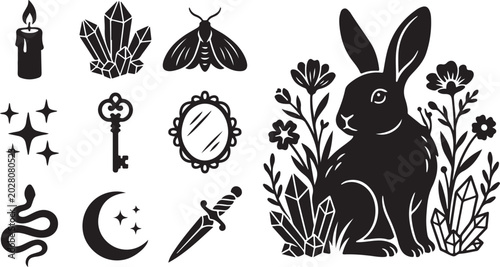 Mystical occult icons,  black magic rabbit vector set