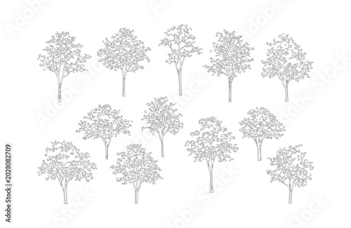 Cuadro en lienzo Minimalist architectural tree outlines, set of 12 thin line vector trees for lan