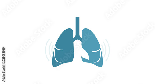 Valokuva Human lungs anatomy medical illustration.