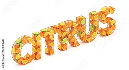 Fresh Citrus Word 3D Illustration with Orange Lemon and Lime Slices