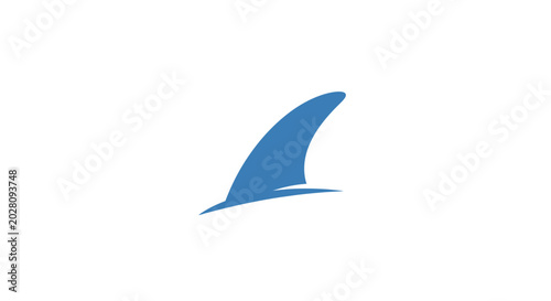 Foto Blue Shark Fin Swimming Ocean Water.