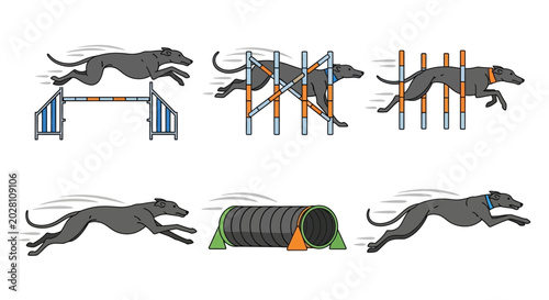 Bild auf Leinwand Greyhound dog jumping over obstacles fast.