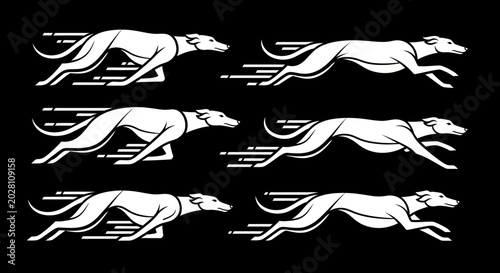 Tableau sur toile Greyhound Dogs Running Fast Together.