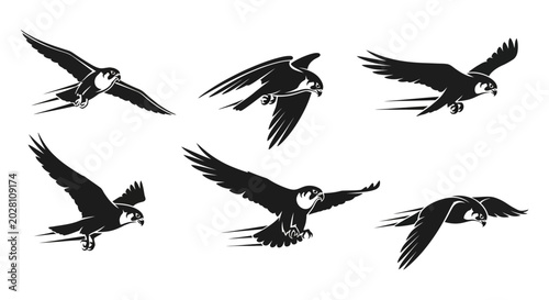 Foto Group of Swallows in Flight Silhouette.