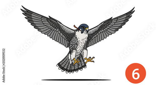 Canvastavla Peregrine Falcon in Flight Spread Wings.