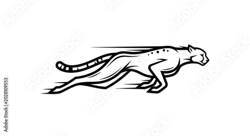 Konstfotografi Running cheetah in motion fast animal.