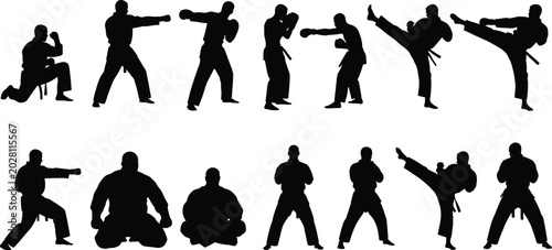 Konstfotografi Martial arts silhouettes performing karate moves Vector