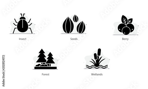 Wild insects icon representing natural forest ecosystems and wetland habitats
