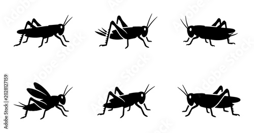 Photos Grasshopper Silhouettes Collection