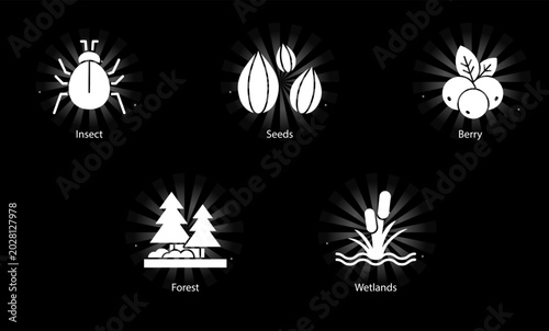 Biodiversity conservation icon featuring natural forest ecosystems and wetland habitats