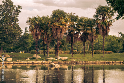 Tableau sur toile Parque con estanque y plantas