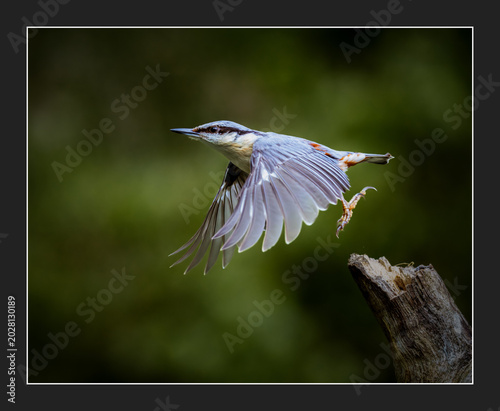 Airborne