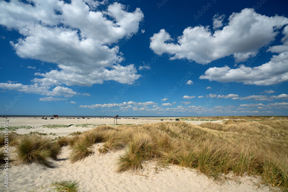 Fototapeta premium sand dunes on the beach with blue sky and white clouds in summer
