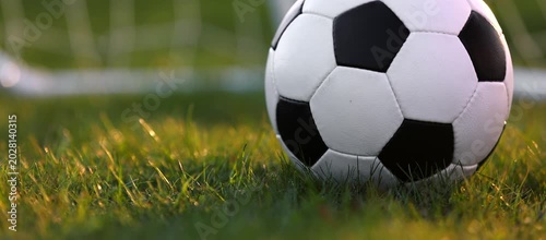 Golden Hour World Cup Soccer Ball on Grass